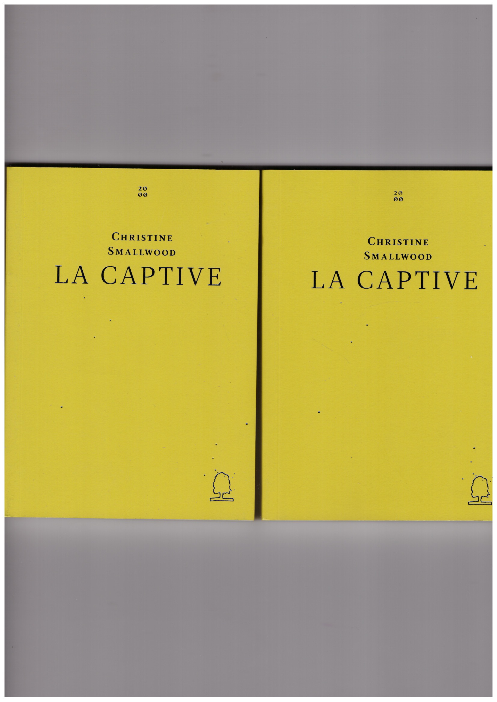SMALLWOOD, Christine - La Captive